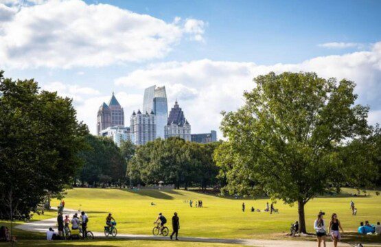 421d41f6 be7f 487e 9e44 477dd2a87c70