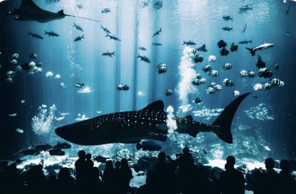 6d247cdb 7179 4b62 9e6b 090711abfcfb