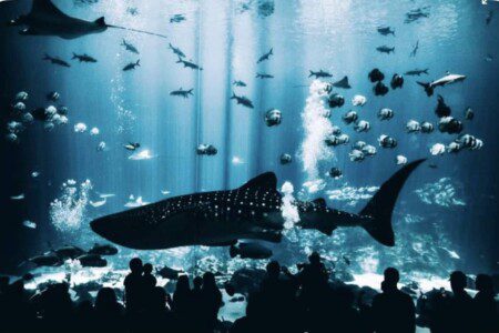 6d247cdb 7179 4b62 9e6b 090711abfcfb