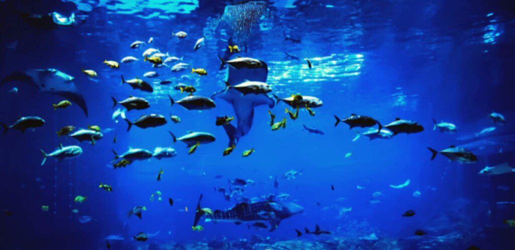 edc3d284 2c2a 40a6 9fc7 199b20e793e2